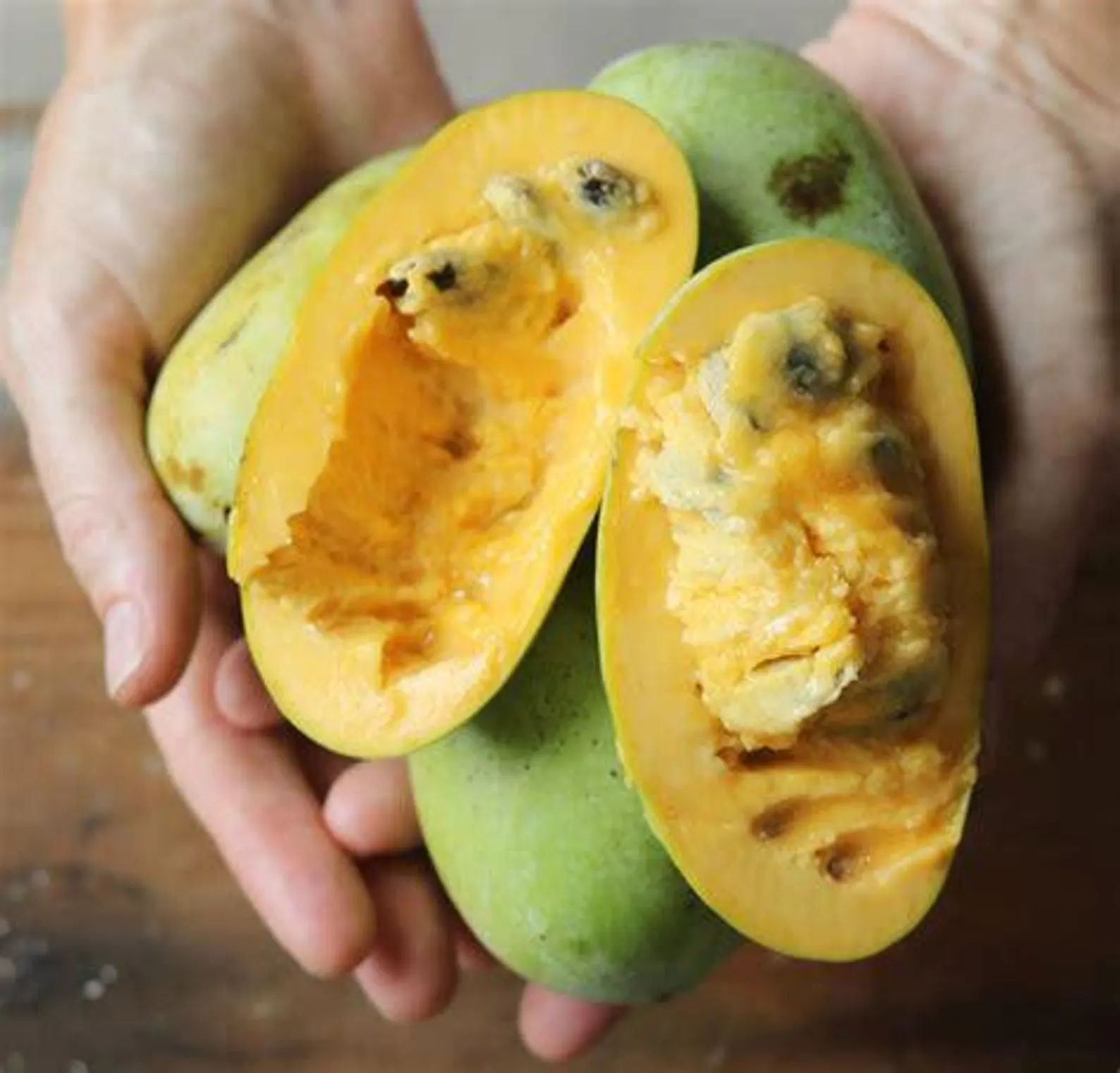 fruit